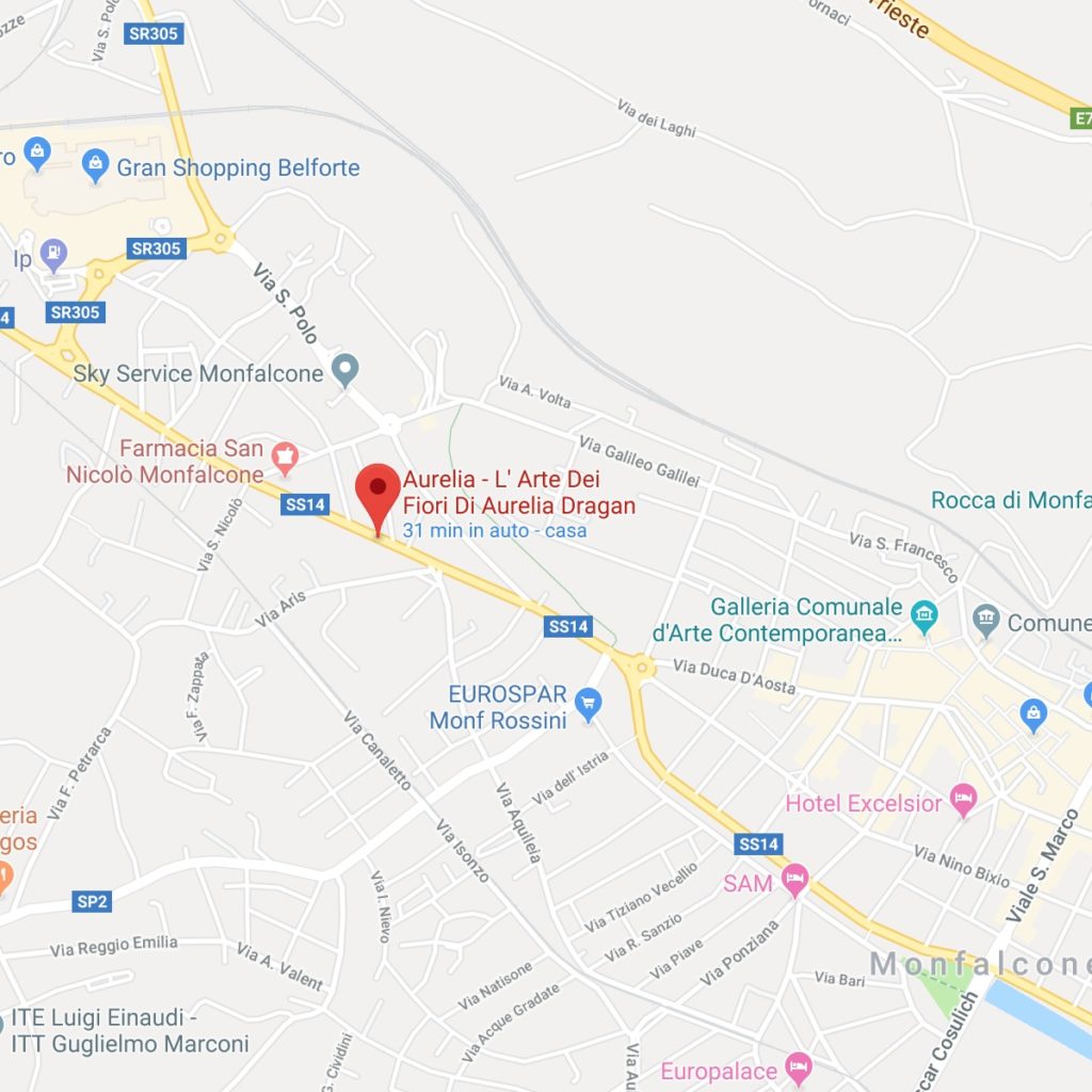 google-map-aurelia-l-arte-dei-fiori